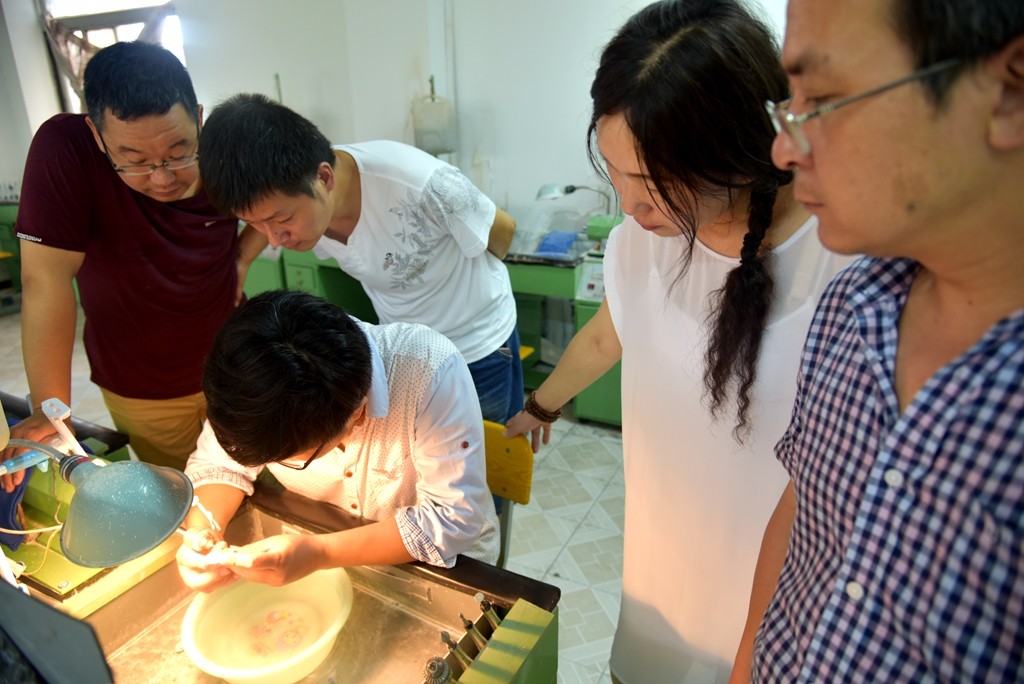 （转载）河南镇平工艺美校玉雕教师来苏学习考察|校园新闻-镇平县工艺美术中等职业学校