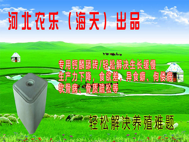 9.jpg 9.jpg
