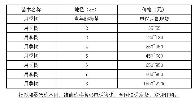 树状月季价格 树状月季价格
