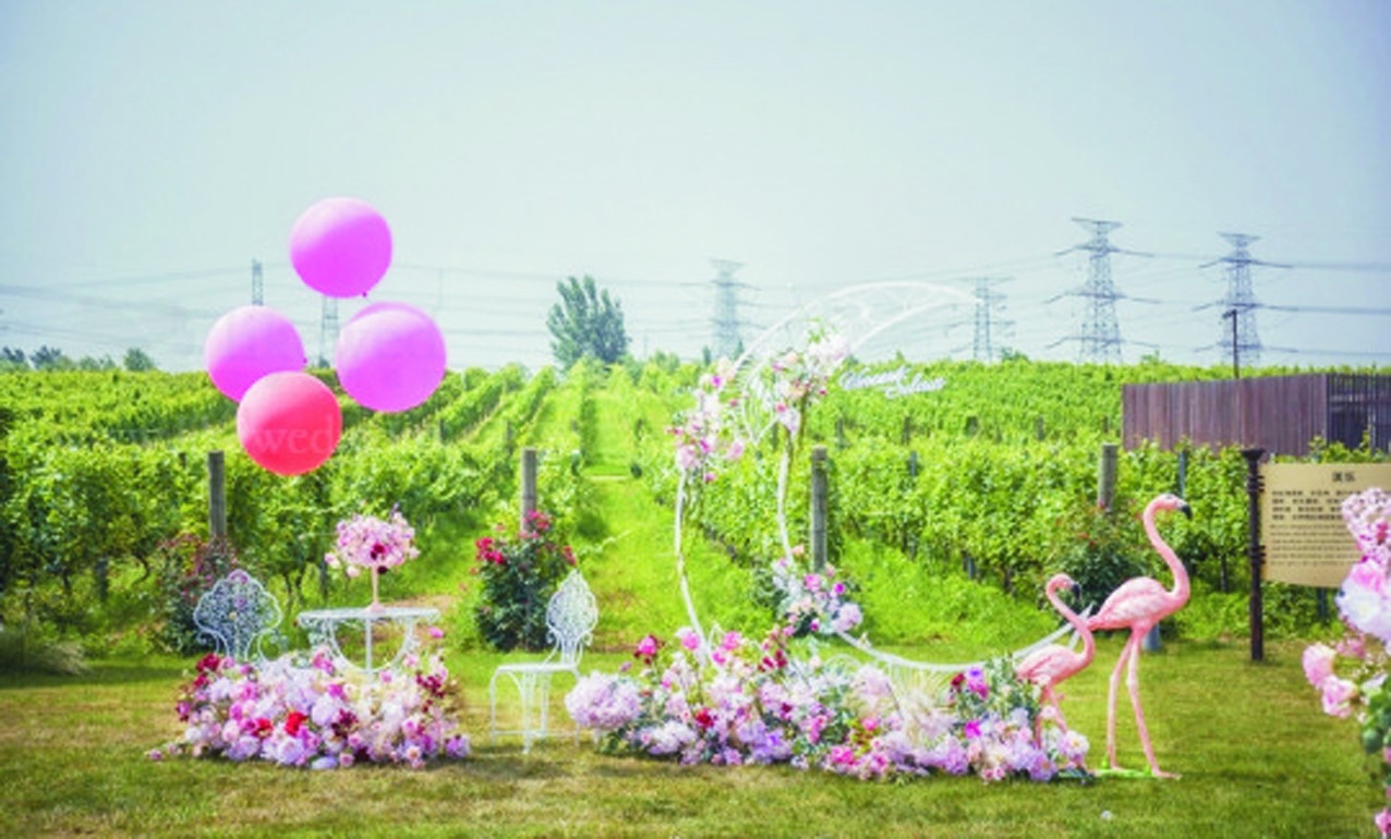 pink |Y-Ȫнy(tng)ԴĻý޹˾
