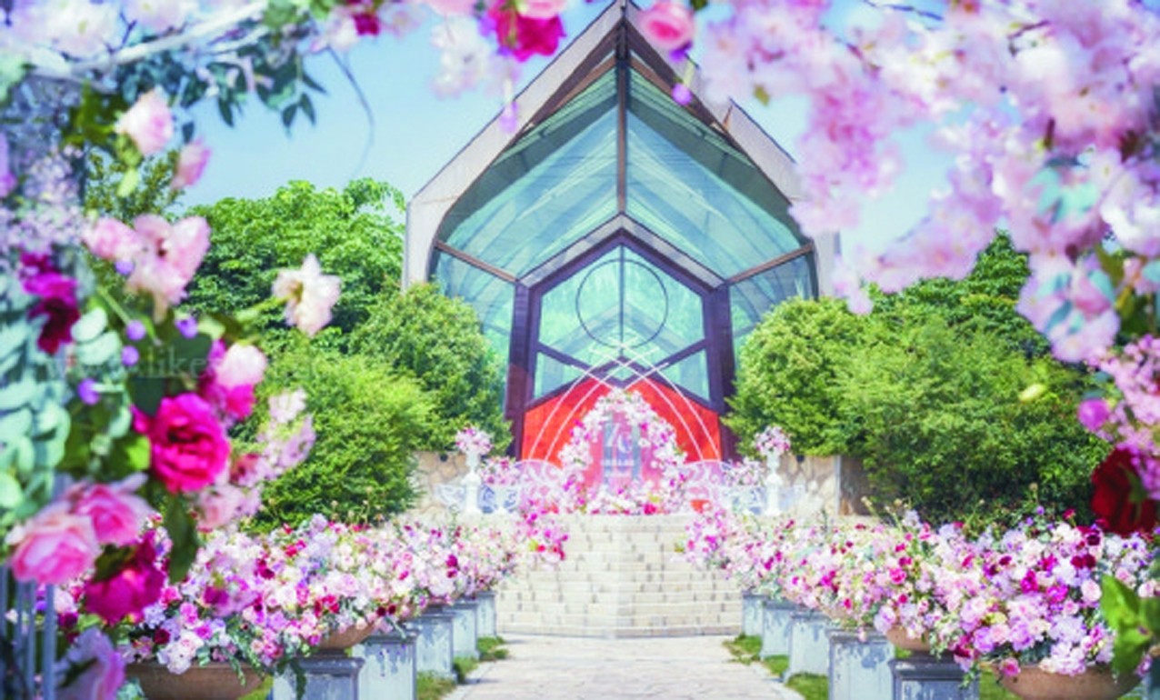 pink |Y-Ȫнy(tng)ԴĻý޹˾