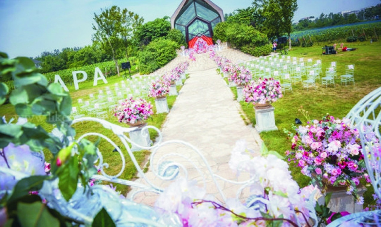 pink |Y-Ȫнy(tng)ԴĻý޹˾