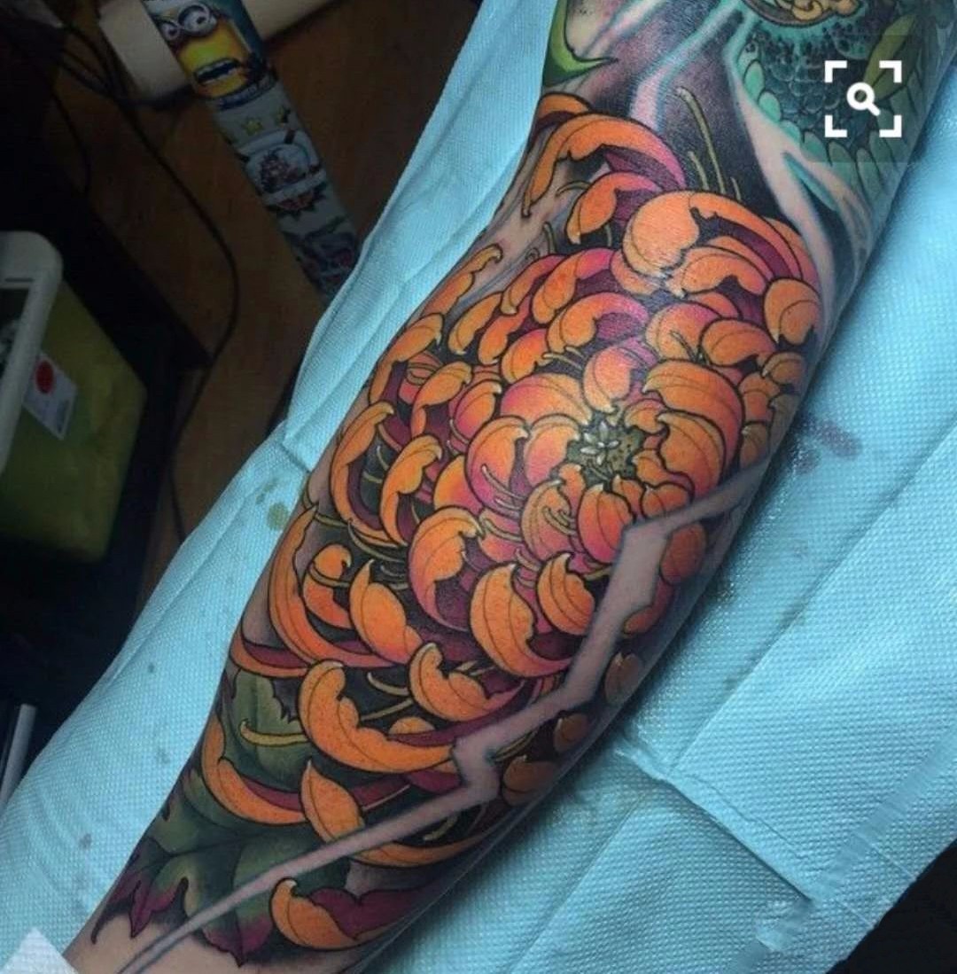 纹身素材分享——菊花
