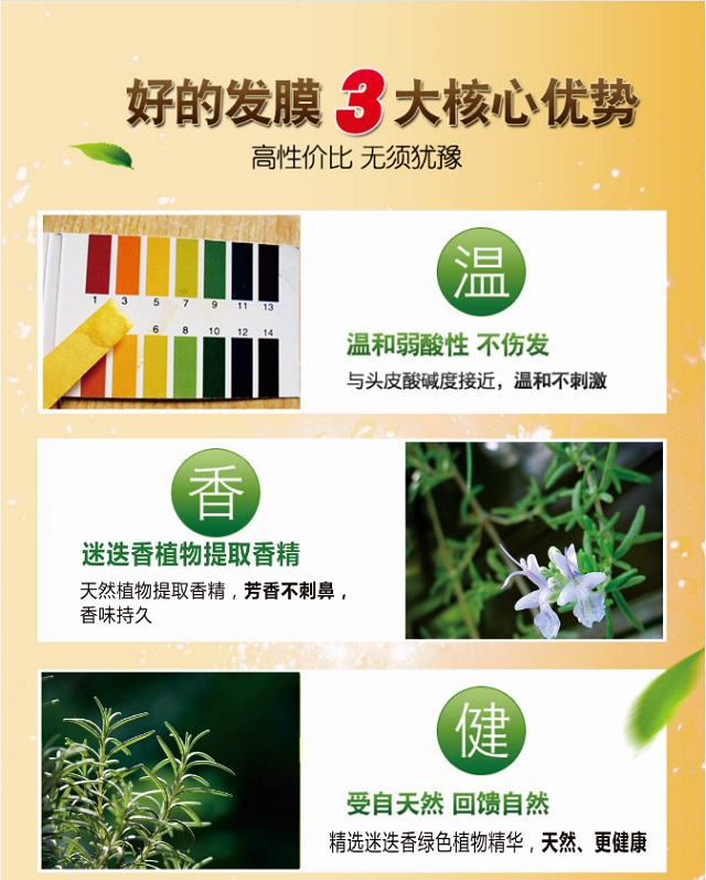 洛陽迷迭香