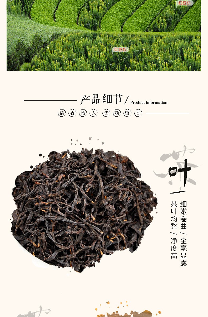 红豆杉生态富硒红茶