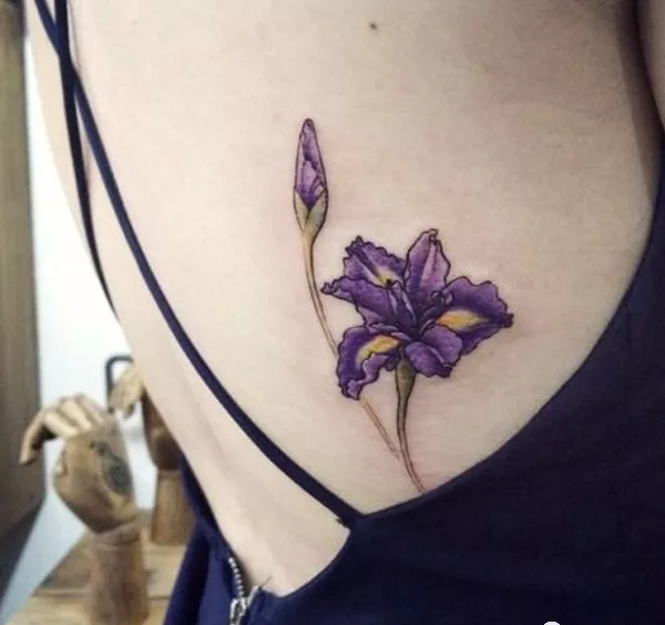 有人会纹一朵马兰花吗