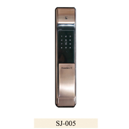 SJ-005.jpg
