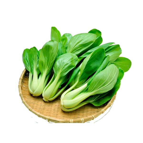 瓢儿白