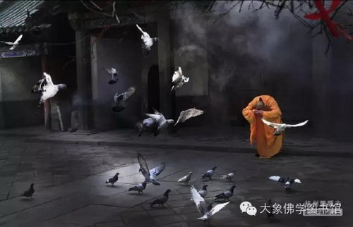 寺4.jpg