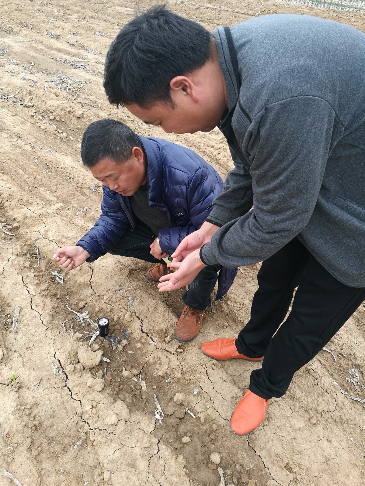 测土活动|种地真经-南阳市益生源肥业有限公司