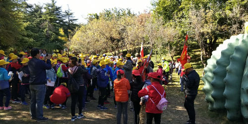 图片15.jpg
