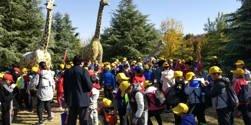 图片19.jpg