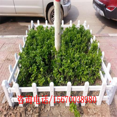 玻璃鋼花園圍欄