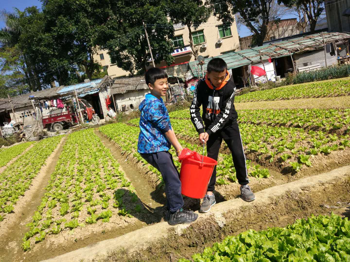 【惠心服务-塘布村社工站】“小浪花”种花|社区新闻-惠州大亚湾区惠心社会服务发展中心