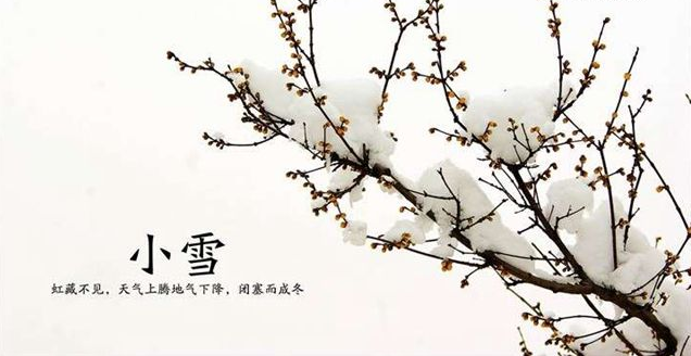 t01402535781e3b34a3.png