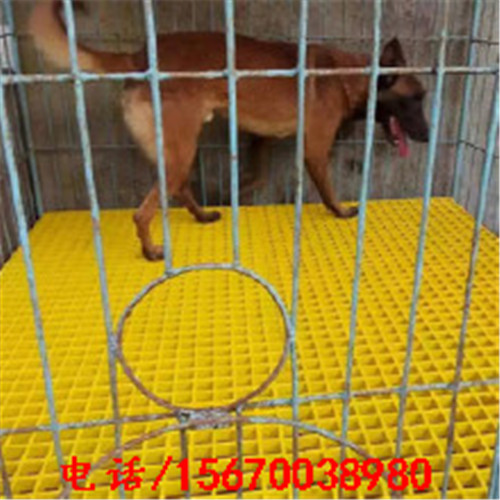 玻璃鋼格柵