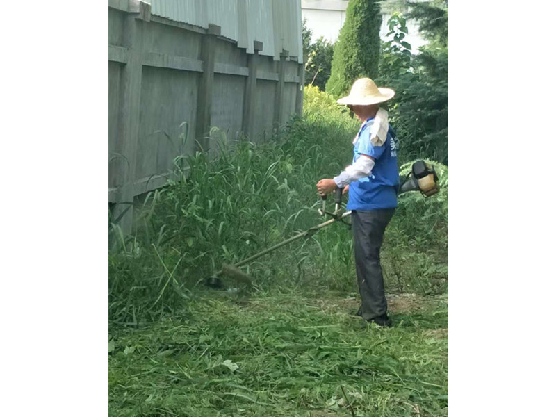 割草图片1.jpg