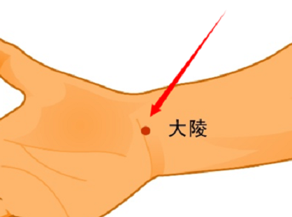 ① 大陵穴