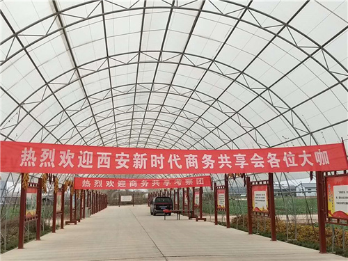 杨凌礼品菜