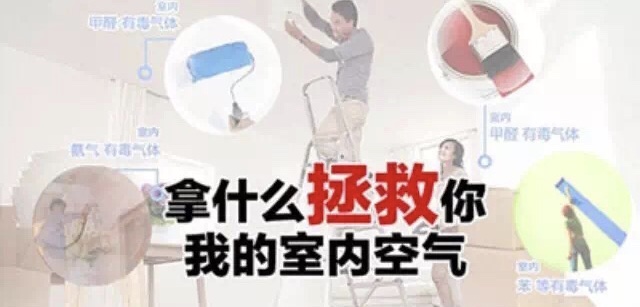 动态资讯