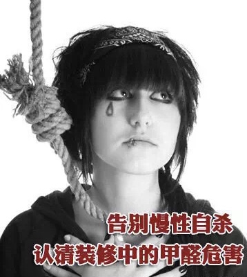 动态资讯