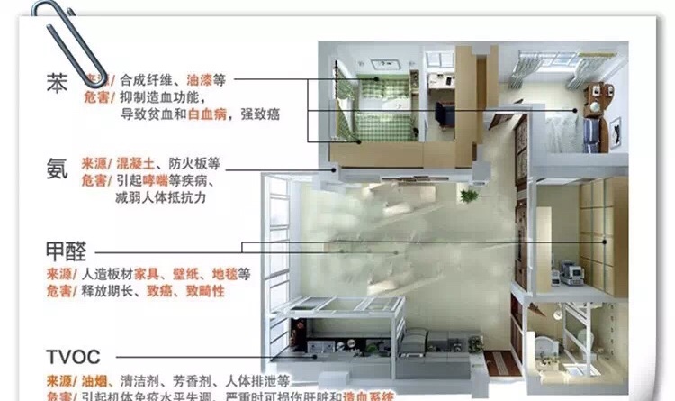 动态资讯