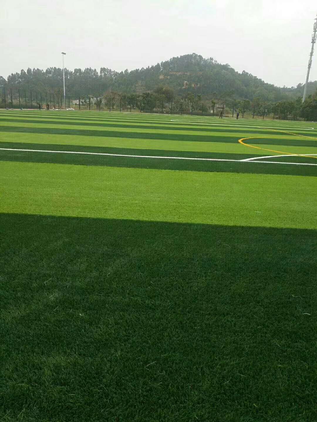 惠州人造草坪