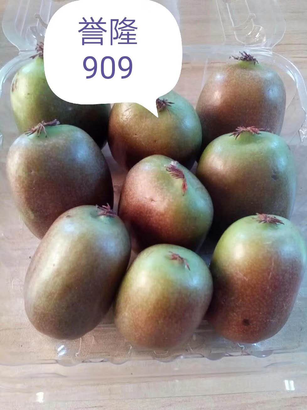 黑龙江软枣猕桃誉隆909