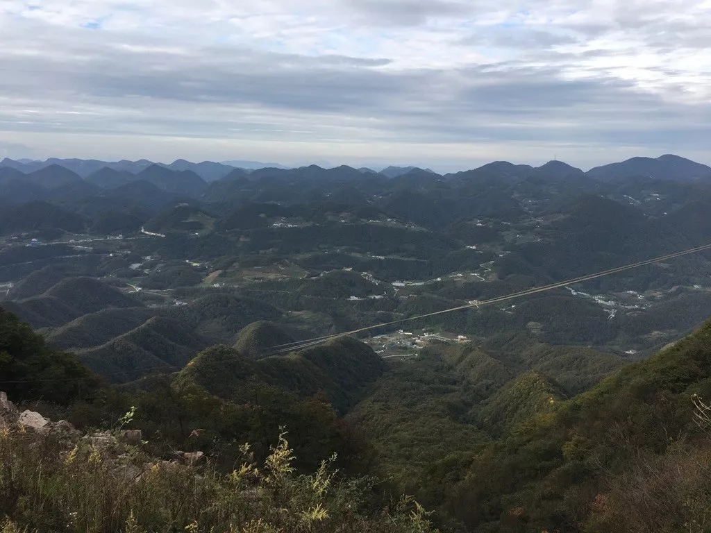 福建溫室大棚