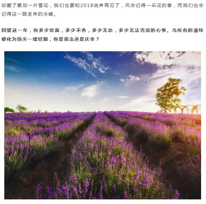 2019加油！