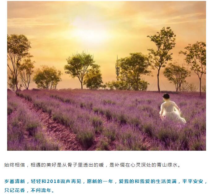 2019加油！