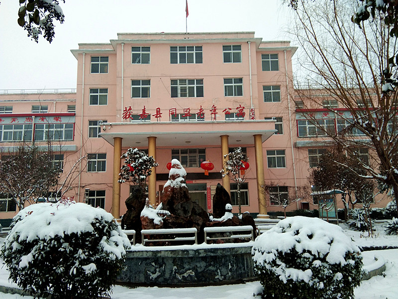 同盟公寓的雪
