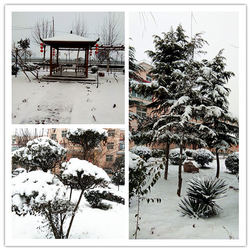 同盟公寓的雪