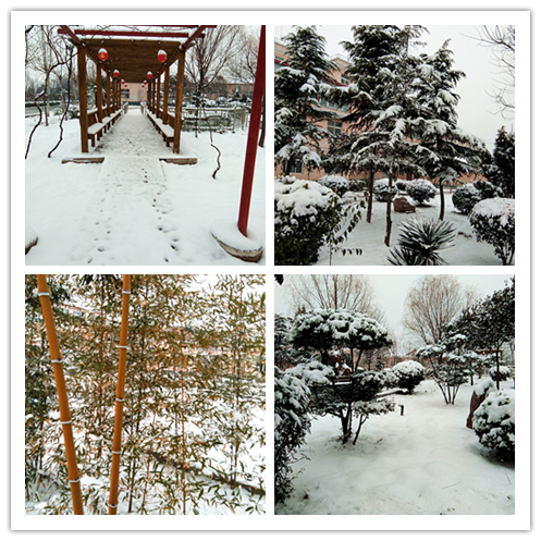 同盟公寓的雪