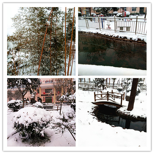 同盟公寓的雪