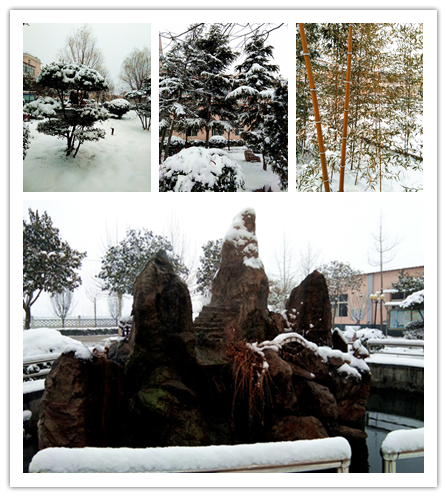 同盟公寓的雪