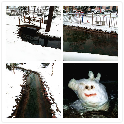同盟公寓的雪