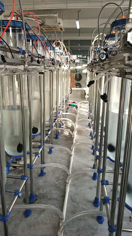 光照生物反應器