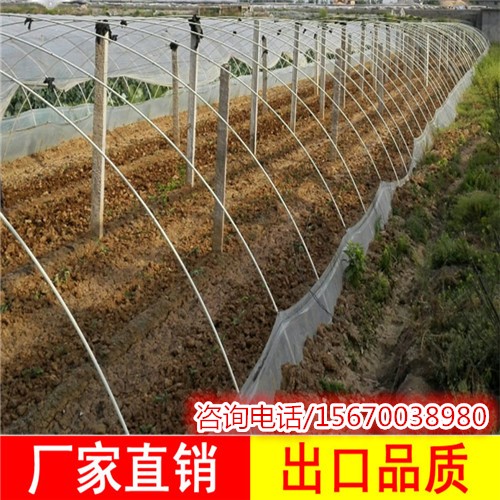 蔬菜大棚
