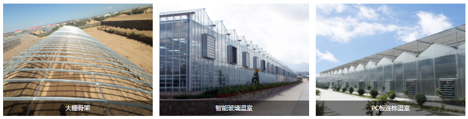 1551146872981991.png image.png