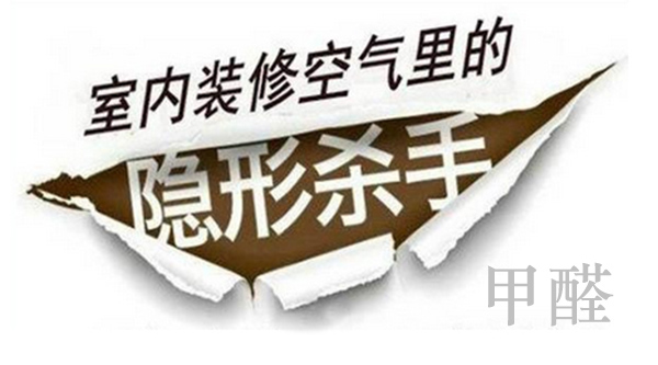动态资讯