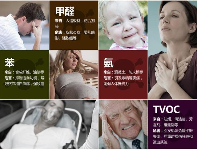 除甲醛专业公司 动态资讯
