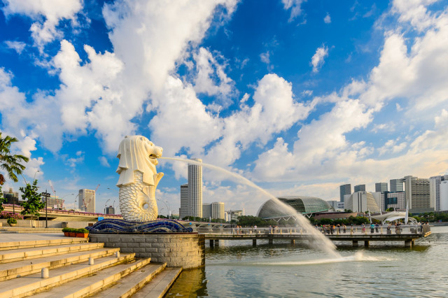 百晓夏令营