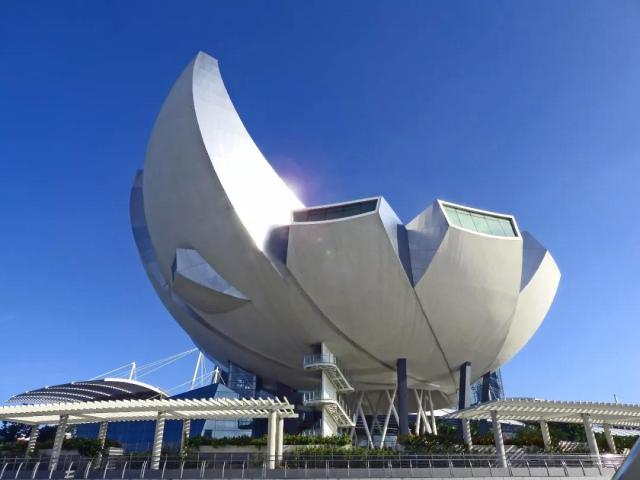 百晓夏令营
