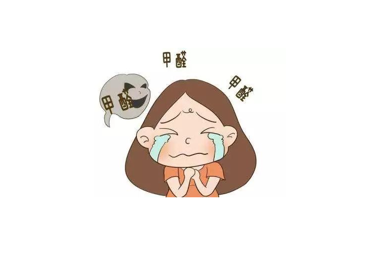 动态资讯