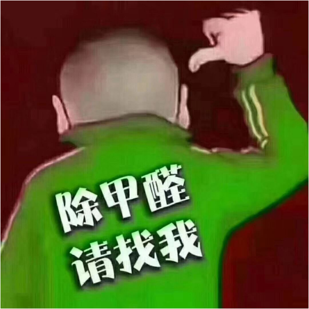 动态资讯