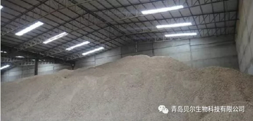 千足金12亿海藻微生物菌剂