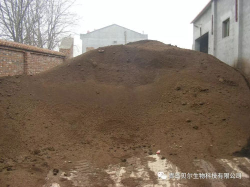 千足金12亿海藻微生物菌剂
