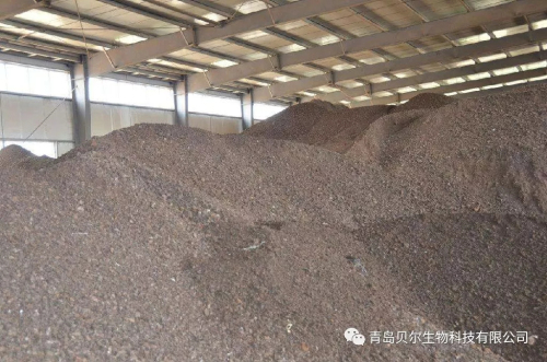 千足金12亿海藻微生物菌剂