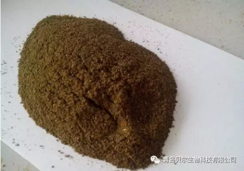 千足金12亿海藻微生物菌剂